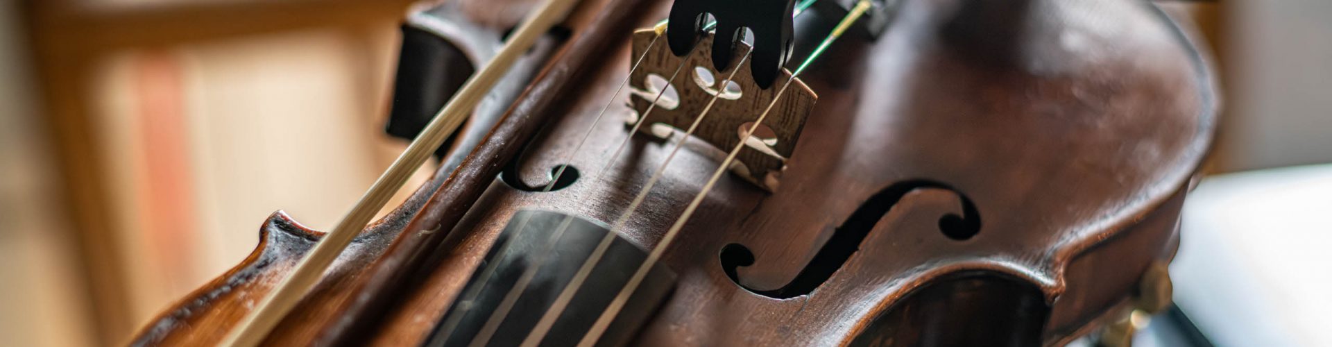 Die Schönheit der Geige